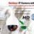 7links IPC-440.HD